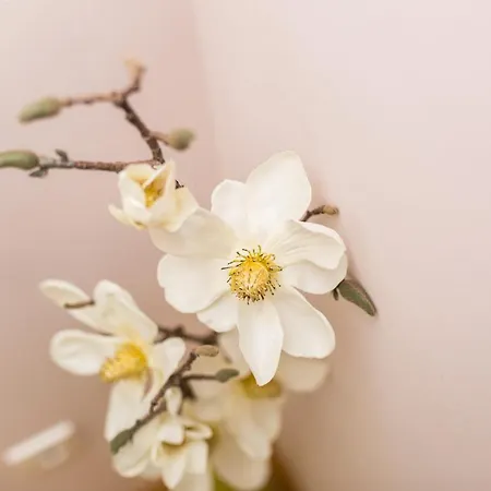 Lägenhet Golden Hope 4+1 Krk