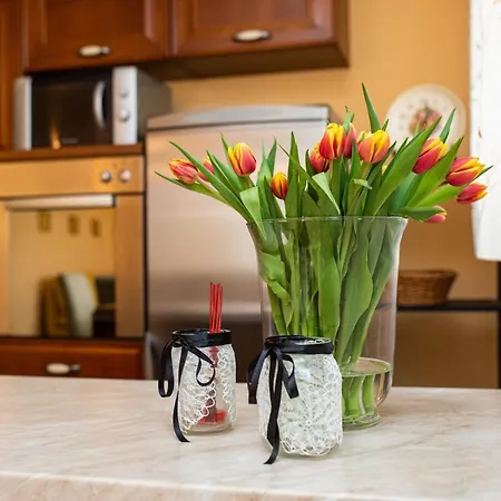 Golden Hope 4+1 Krk Lägenhet